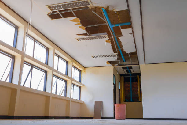 Best Water damage repair service  in Ashland, KY