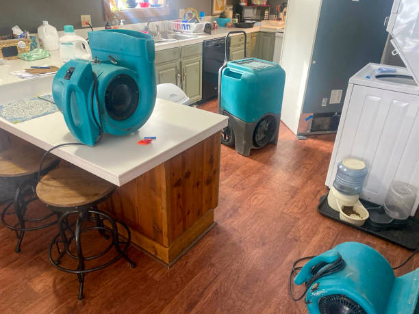 Best Water damage mitigation services  in Ashland, KY