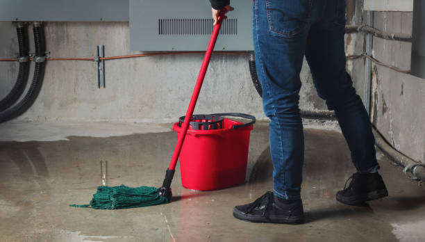 Best Water damage restoration near me  in Ashland, KY
