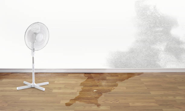 Best Water damage restoration near me  in Ashland, KY