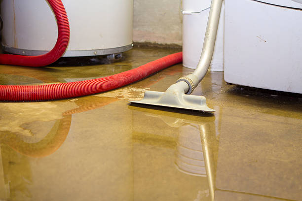 Best Flood damage cleanup  in Ashland, KY