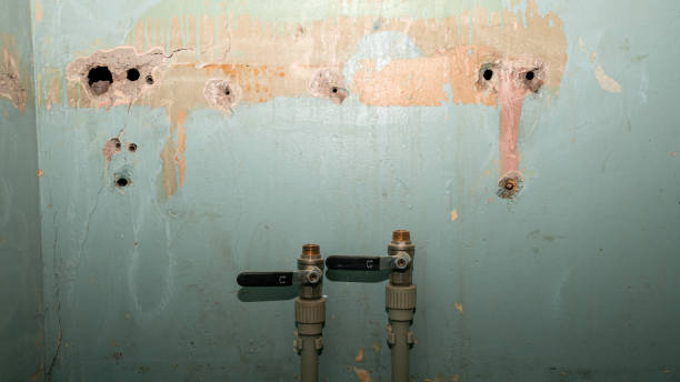 Best Basement water damage restoration  in Ashland, KY